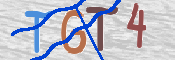 CAPTCHA (Şahıs Denetim Kodu) Resmi