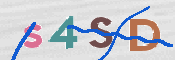CAPTCHA (Şahıs Denetim Kodu) Resmi