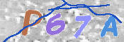 CAPTCHA (Şahıs Denetim Kodu) Resmi