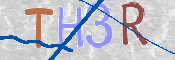 CAPTCHA (Şahıs Denetim Kodu) Resmi