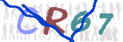 CAPTCHA (Şahıs Denetim Kodu) Resmi