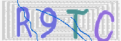 CAPTCHA (Şahıs Denetim Kodu) Resmi