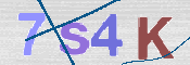 CAPTCHA (Şahıs Denetim Kodu) Resmi