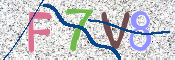 CAPTCHA (Şahıs Denetim Kodu) Resmi