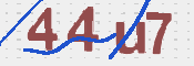 CAPTCHA (Şahıs Denetim Kodu) Resmi