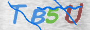 CAPTCHA (Şahıs Denetim Kodu) Resmi