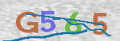 CAPTCHA (Şahıs Denetim Kodu) Resmi