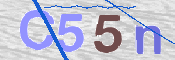 CAPTCHA (Şahıs Denetim Kodu) Resmi