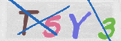 CAPTCHA (Şahıs Denetim Kodu) Resmi