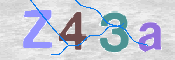 CAPTCHA (Şahıs Denetim Kodu) Resmi