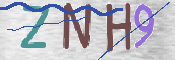 CAPTCHA (Şahıs Denetim Kodu) Resmi