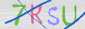CAPTCHA (Şahıs Denetim Kodu) Resmi