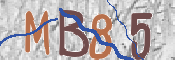 CAPTCHA (Şahıs Denetim Kodu) Resmi