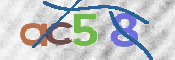 CAPTCHA (Şahıs Denetim Kodu) Resmi