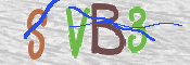 CAPTCHA (Şahıs Denetim Kodu) Resmi
