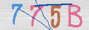 CAPTCHA (Şahıs Denetim Kodu) Resmi