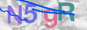 CAPTCHA (Şahıs Denetim Kodu) Resmi