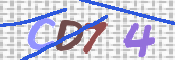CAPTCHA (Şahıs Denetim Kodu) Resmi