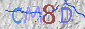 CAPTCHA (Şahıs Denetim Kodu) Resmi