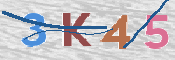 CAPTCHA (Şahıs Denetim Kodu) Resmi