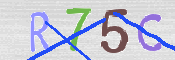 CAPTCHA (Şahıs Denetim Kodu) Resmi