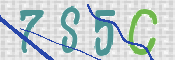 CAPTCHA (Şahıs Denetim Kodu) Resmi