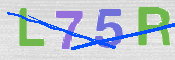 CAPTCHA (Şahıs Denetim Kodu) Resmi