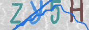 CAPTCHA (Şahıs Denetim Kodu) Resmi
