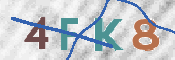 CAPTCHA (Şahıs Denetim Kodu) Resmi