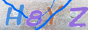 CAPTCHA (Şahıs Denetim Kodu) Resmi