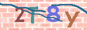 CAPTCHA (Şahıs Denetim Kodu) Resmi
