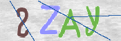 CAPTCHA (Şahıs Denetim Kodu) Resmi