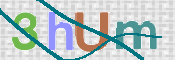 CAPTCHA (Şahıs Denetim Kodu) Resmi