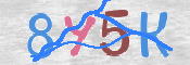 CAPTCHA (Şahıs Denetim Kodu) Resmi