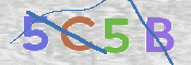 CAPTCHA (Şahıs Denetim Kodu) Resmi