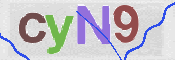 CAPTCHA (Şahıs Denetim Kodu) Resmi