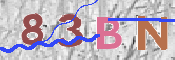 CAPTCHA (Şahıs Denetim Kodu) Resmi