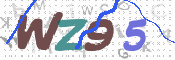 CAPTCHA (Şahıs Denetim Kodu) Resmi