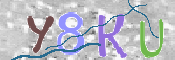 CAPTCHA (Şahıs Denetim Kodu) Resmi