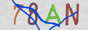 CAPTCHA (Şahıs Denetim Kodu) Resmi