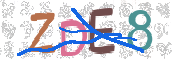 CAPTCHA (Şahıs Denetim Kodu) Resmi