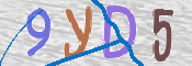 CAPTCHA (Şahıs Denetim Kodu) Resmi