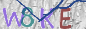 CAPTCHA (Şahıs Denetim Kodu) Resmi
