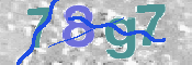 CAPTCHA (Şahıs Denetim Kodu) Resmi