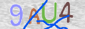 CAPTCHA (Şahıs Denetim Kodu) Resmi