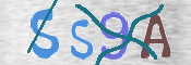 CAPTCHA (Şahıs Denetim Kodu) Resmi