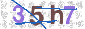 CAPTCHA (Şahıs Denetim Kodu) Resmi