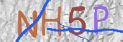 CAPTCHA (Şahıs Denetim Kodu) Resmi