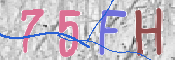 CAPTCHA (Şahıs Denetim Kodu) Resmi