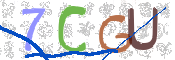 CAPTCHA (Şahıs Denetim Kodu) Resmi